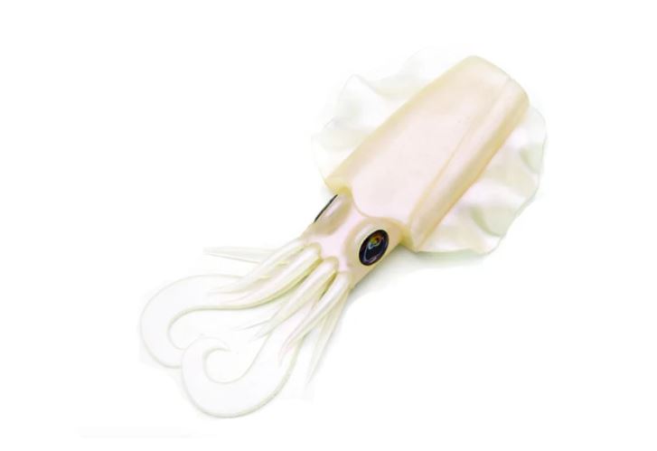 Tokuri 3.5" – 85mm Cuttlefish Vinyl Body Jig Fishing Lure