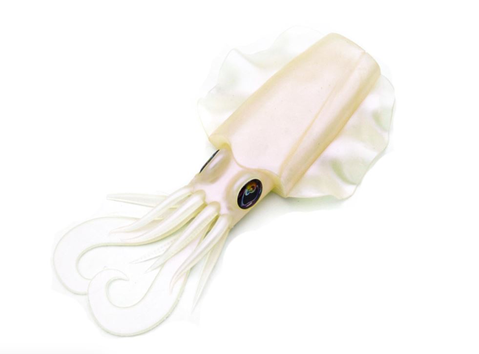 Xoco 6" - 150mm Cuttlefish Body Vinyl Jig Body Replacement